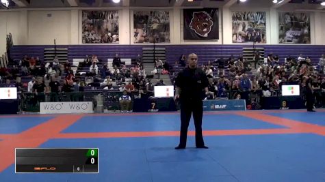 Erine Herle vs Fernanda Silva IBJJF 2016 New York BJJ Pro