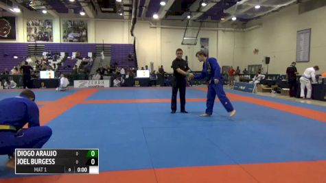 Diogo Araujo vs Joel Burgess IBJJF 2016 New York BJJ Pro