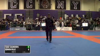 Sage Saunders vs Edwin Feliz IBJJF 2016 New York BJJ Pro
