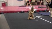 Sydney Snead Floor Routine - Georgia Fall Visit 2016