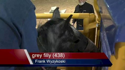 2016 United Bucking Horse Association Day 2