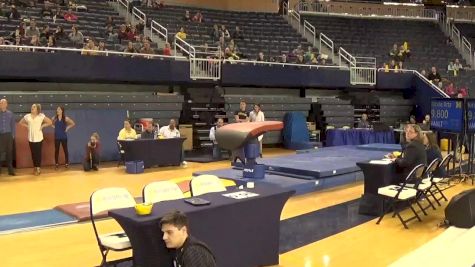 Polina Shchennikova, Michigan, Vault