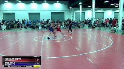119 lbs Round 3 (8 Team) - Nicholas Raptis, New York Gold vs Jack Cole, New Jersey