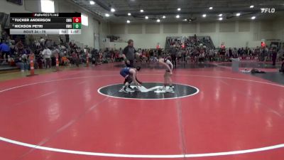 75 lbs Quarterfinal - Nickson Petri, Ringers Wrestling Club vs Tucker Anderson, Owatonna Wrestling Academy
