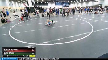 45 lbs Cons. Semi - Kaison Perkins, MN vs Lane Bruss, NE