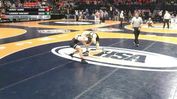 2A 138 lbs Cons. Round 3 - Avery Jaime, Bethalto (Civic Memorial) vs Landen Vincent, Geneseo