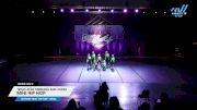 Texas Aces Tumbling and Cheer - Mini Hip Hop [2024 Mini - Hip Hop - Small Day 2] 2024 Power Dance Grand Nationals