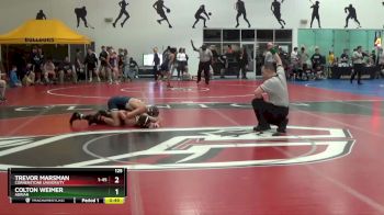 149 lbs Quarterfinal - Hai Siu, Averett University vs Thomas Wagner, Case Western