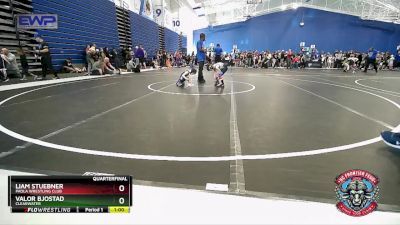 43 lbs Quarterfinal - Valor Bjostad, Clearwater vs Liam Stuebner, Paola Wrestling Club