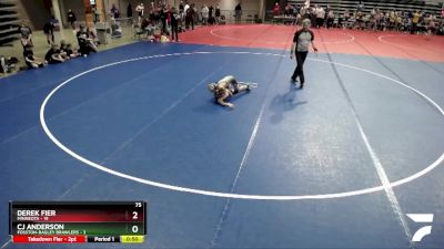 75 lbs Placement (4 Team) - Derek Fier, Minneota vs CJ Anderson, Fosston-Bagley Brawlers