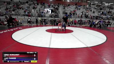 73 lbs Semifinal - Emily Borgardt, HI vs Luci Tiankee, NJ