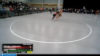 165 lbs Cons. Round 4 - Peter Mondus, Illinois vs Mitchell Wheeler Iii, Lions Wrestling Club