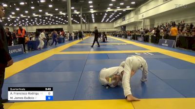 Aaron Francisco Rodriguez vs Mason James DuBois 2024 IBJJF Jiu-Jitsu CON International