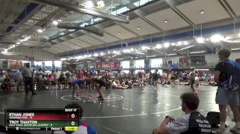 138 lbs Semis & 3rd Wb (16 Team) - Troy Thaxton, Gulf Coast Grappling Academy vs Ethan Jones, Assassins Pink