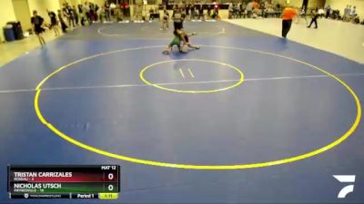 125 lbs Semis & 1st Wrestleback (8 Team) - Tristan Carrizales, Roseau vs Nicholas Utsch, Paynesville