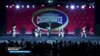 Legacy Xtreme All Stars - BOOMSLANG [2025 L6 Limited Coed - XSmall Day 2] 2025 Cheer Power Grand Nationals