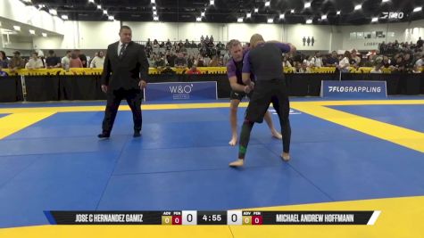 Michael Andrew Hoffmann vs Jose C Hernandez Gamiz 2025 World IBJJF Jiu-Jitsu No-Gi Championship