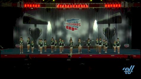 CheerForce - Havoc [2015 L2 Large Youth Day 2]