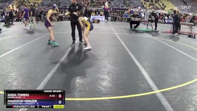 117 lbs Quarters & 1st Wb (16 Team) - Allison Hunter, Wisconsin Stevens Point vs Karissa Turnwall, Emmanuel University