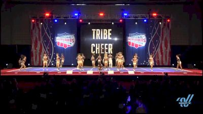 Tribe Cheer - Nighthawks [2015 L5 Small Senior Restricted Coed Day 2]