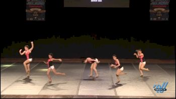 Vision Dance All Stars [2015 Senior Jazz Finals]