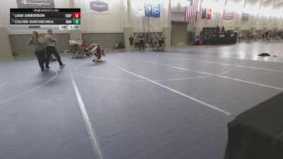 140 lbs Semis - Liam Anderson, 208 Spartans vs Colter Goicoechea, Idaho