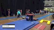 Caitlyn Flanagan - Women's Group, Perpetual Motion Gymnastics Center - 2021 Women's Xcel Region 4 Championships
