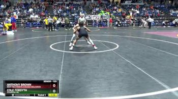 103 lbs Cons. Round 4 - Anthony Brown, Beat The Streets Chicago-Bellwood vs Cole Forsyth, Stampede WC