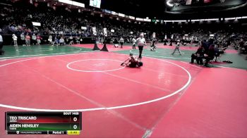 90 lbs Cons. Round 6 - Teo Triscaro, AWRA vs Aiden Hensley, TWM1