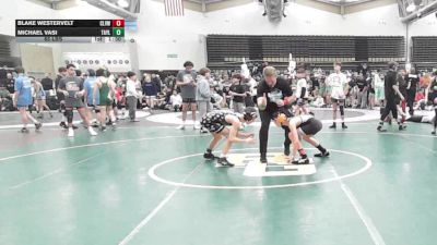 85 lbs Rr Rnd 5 - Blake Westervelt, Clearview - MSC vs Michael Vasi, Taylor Hammers - MSC