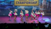 The Vision Dance Center [2015 Mini All Star Pom - Small Finals]