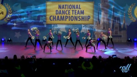 Dance Force Studios [2015 Youth All Star Pom - Small Finals]