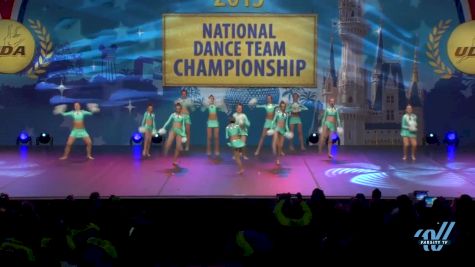 The Vision Dance Center [2015 Youth All Star Pom - Small Finals]