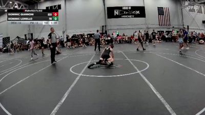 96 lbs Round 5 (6 Team) - Dominic Lorello, Prestige Worldwide vs Dominic Giannoni, Revival