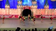 YDC Dance Studio (Japan) [2015 Junior All Star Pom - Small Finals]