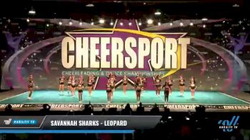Savannah Sharks - Leopard [2021 L3 Senior - Medium Day 2] 2021 CHEERSPORT National Cheerleading Championship