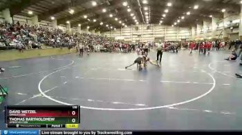 138 lbs Champ. Round 2 - David Wetzel, Spanish Fork vs Thomas Bartholomew, American Fork