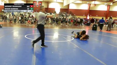 113 lbs Consi Of 4 - Anthony Bojorquez, South Shore Elite vs Mason Barbosa, Top Flight Wrestling Academy