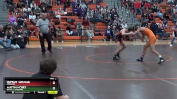 126 lbs Quarterfinal - Austin McKee, Buckeye (Medina) vs Roman Parobek, Ashland