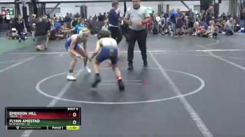 80 lbs Round 3 (4 Team) - Emerson Hill, Troup vs Flynn Amestad, 84 Athletes