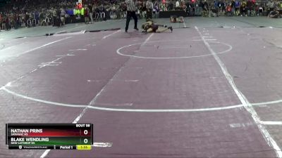 D4-106 lbs Champ. Round 1 - Blake Wendling, New Lothrop HS vs Nathan Prins, Saranac HS