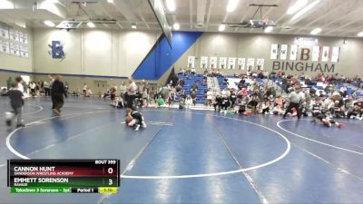 73 lbs Cons. Round 5 - Cannon Hunt, Sanderson Wrestling Academy vs Emmett Sorenson, Ravage