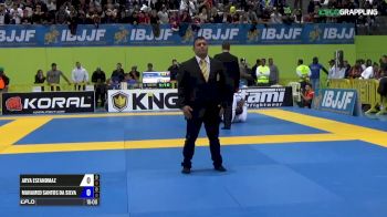Arya Esfandmaz vs Mahamed Aly IBJJF 2017 European Championships