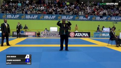Leandro Lo vs Jesse Urholin IBJJF 2017 European Championships