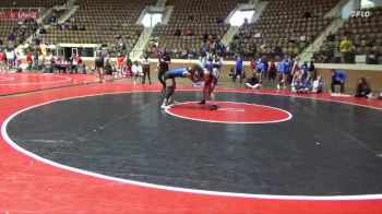 138 lbs Cons. Semi - Ta`Jai Broadnex, Lindsey Wilson vs Laisha Rios, Texas Woman`s University