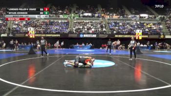 197 lbs Quarterfinal - Lorenzo Pellot-Vzquez, Roanoke vs Myles Johnson, Ohio Northern