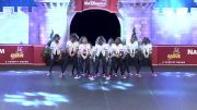 TigerCubs Allstars [All Star Small Junior Hip Hop - 2017 UDA National Dance Team Championship]