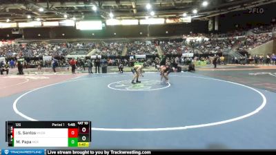 126 lbs Quarterfinal - Scout Santos, Mt. View Oregon vs Matthew Papa, Meridian