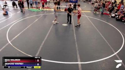 175 lbs Cons. Round 4 - Beau Waldron, MO vs Desmond Winfrey, IL