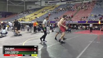 285 lbs Semis (4 Team) - Torin Forsyth, Central Missouri vs Cale Gray, Indianapolis